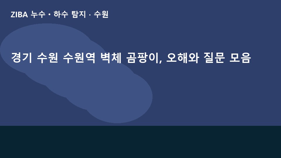 경기 수원 수원역 벽체 곰팡이, 오해와 질문 모음